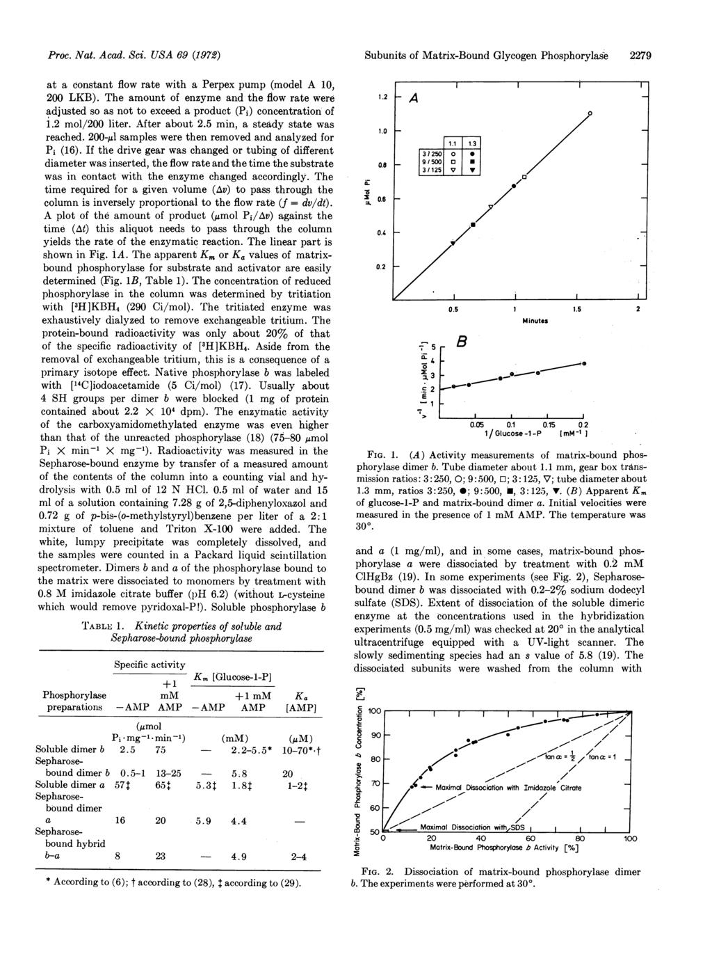 Pr6c. Nat. Acad. Sci. USA 69 (1972) at a constant flow rate with a Perpex pump (model A 10, 200 LKB).