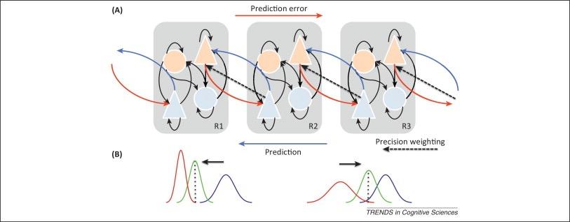 Mumford 1992, Rao & Ballard 1999; Lee & Mumford 2003; Friston 2005. experimental evidence still unclear On type of variational approximation: predictive coding.