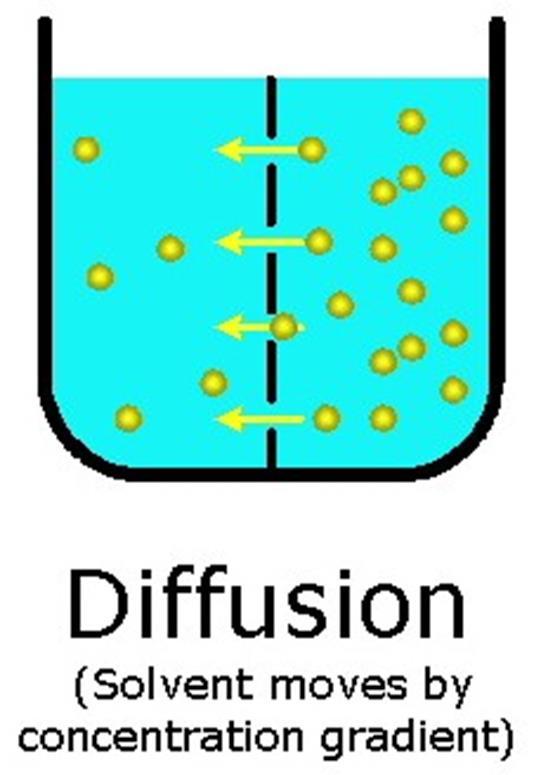 Diffusion causes the molecules to move from
