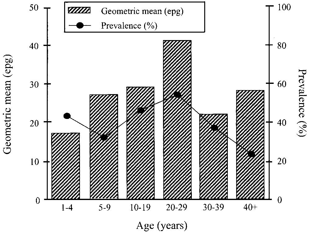 1668 Bethony et al. JID 1999;180 (November) Figure 1. Prevalence and intensity of Schistosoma mansoni infection in study sample; epg, eggs per gram of feces.