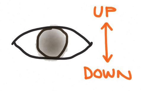 Eye Exercises: Up and Down 8X You will