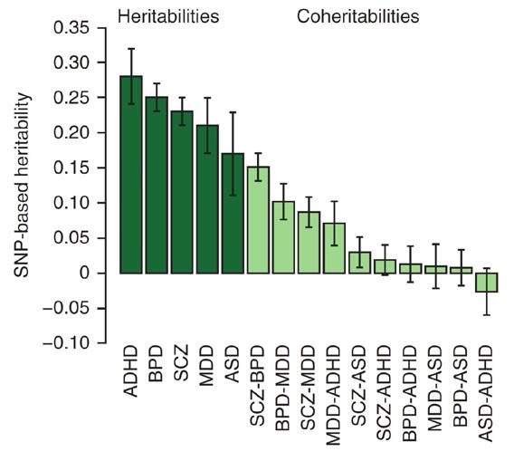 Recent evidence for many alleles of small effect, I SNP heritability studies estimate the total variance in liability explained by SNPs, which are used to estimate the pairwise genetic relationships