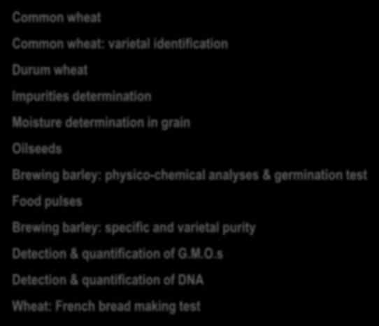 wheat Common wheat: varietal