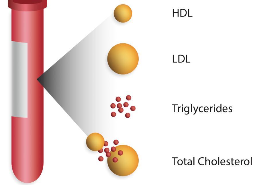 atherogenic lipid profile: LDL (esp.