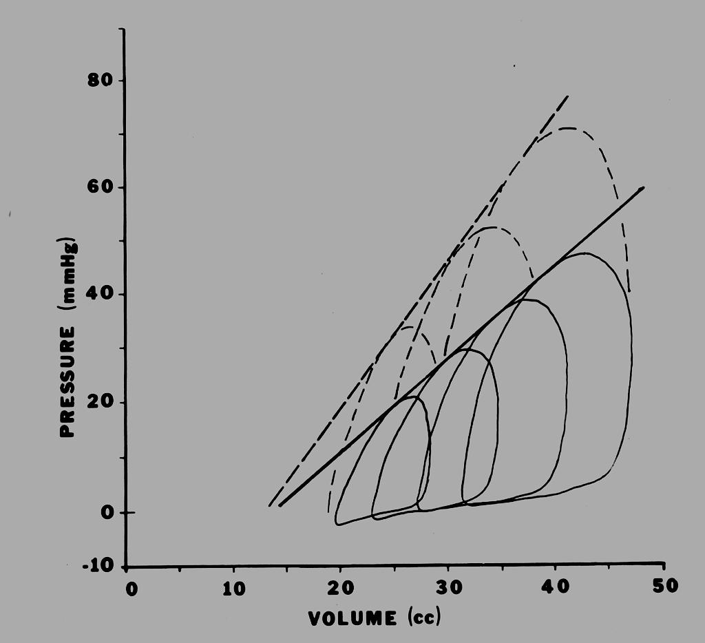 end-systolic pressure-volume relation right ventricle