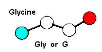 7. Glutamine Hydrophilic, Neutral polar CAA CAG 110100 110100 8. Glycine Hydrophilic, Neutral Non polar GGUG GGC GGA GGG 9. Histidine Hydrophilic, Basic polar CAU CAC 100001 100001 100000 100000 10.