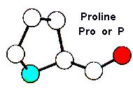 14. Phenylalanine Hydrophobic, UUU UUC 15.