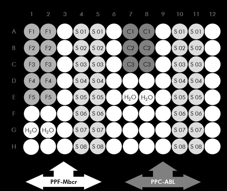 Figure 5. Suggested plate setup for one experiment. S: cdna sample; F1 5: BCR-ABL Mbcr standards; C1 3: ABL standards; H 2 O: water control.