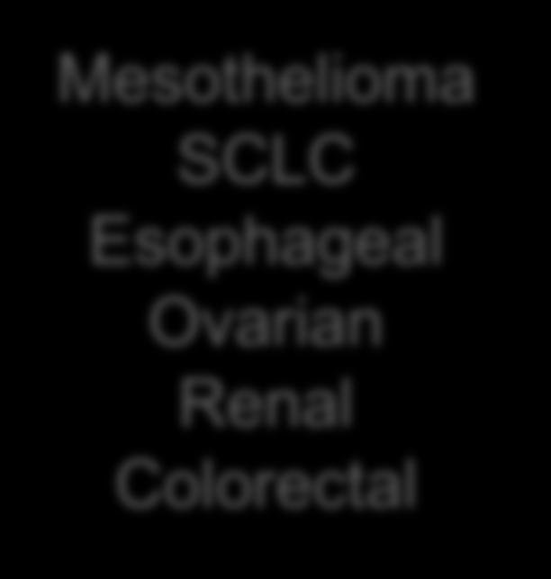 Mesothelioma SCLC Esophageal