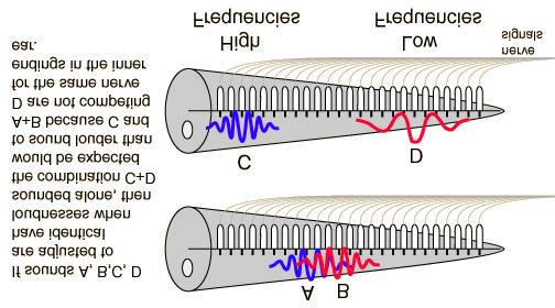 Adding When one sound is produced and another sound is added, the increase in loudness perceived depends upon its frequency relation to the first sound.