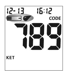 Following this display check, the system will enter the test mode. The display will show the date, time and the strip icon with the blood sample icon blinking.