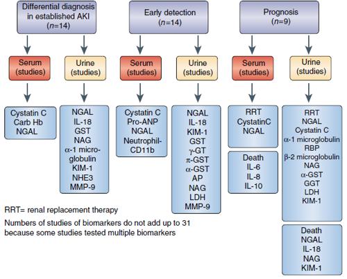 BIOMARKERS IN AKI Adapted from