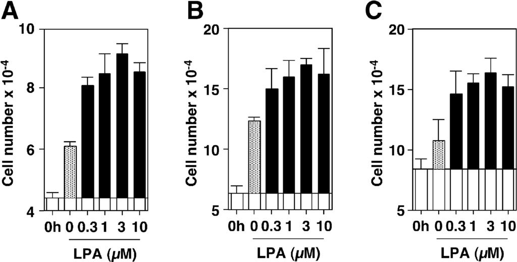 Fig. 3. Effects of acyl LPA (18:1n-9) on the growth of EC-GI-10 esophagus carcinoma cells (A), Detroit 562 pharynx carcinoma cells (B), and SCC-9 tongue carcinoma cells (C).