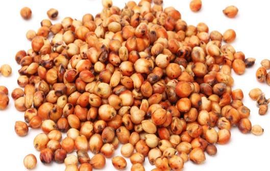 Sorghum Background Sorghum bicolor L. Moench is one of the oldest ancient grains Worldwide, 5 th leading cereal crop U.S., 3 rd largest crop (behind maize and wheat) ~15 MMT, globally dominant