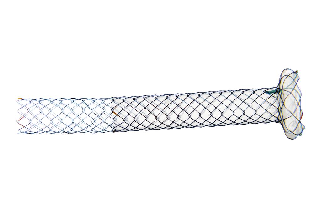 Features: 5cm covered section to maximise drainage through the hepaticogastric lumen into the stomach Rivet-type 20mm flared proximal end reduces migration from the stomach into the