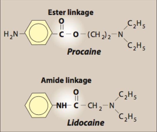 Chemistry of LAs Most local anesthetic drugs are esters or amides of simple benzene derivatives. Structurally, LAs consists of three parts : 1.A lipophilic hydrophobic aromatic group. 2.