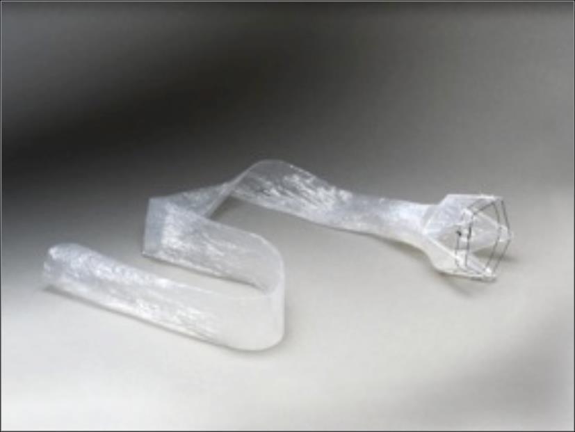 EndoBarrier (GI liner) Plastic sleeve Anchor in
