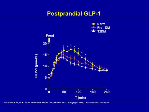 Incretins Glukagon-like peptid 1 (GLP-1) L-cells in ileum