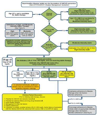 2013 ACC/AHA Guideline for Screening in Asymptomatic Adults CAC appropriate to inform treatment decision making if after quantitative risk assessment, a risk based treatment decision is uncertain