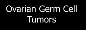 Germ Cell Tumors 20-25% of ovarian