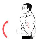 With the arm in the sling regularly shrug shoulders up and down and circle forwards and back. 4. With your arm out of the sling bend and straighten the elbow. 5.