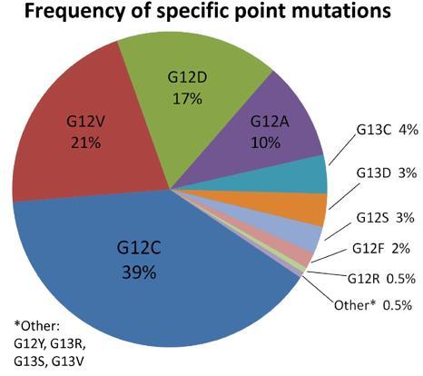 KRAS mutation: PROGNOSTIC, PREDICTIVE OR DRUGGABLE 2nd most common mutation in human cancer 677 patients with advanced NSCLC and KRAS mutation seen at the MSKCC between 2005 and 2011