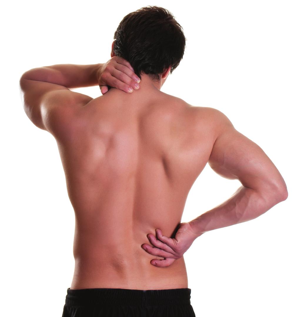 Objective examination: indicators of IBP Objective examination: indicators of inflammatory back pain (IBP) During physical examination there are several key features to be aware of which may indicate