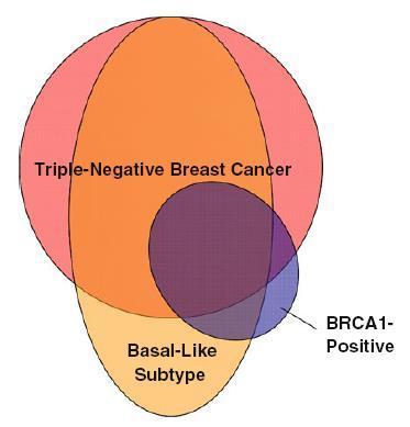 BRCA1-related tumors 29/37 (80%)
