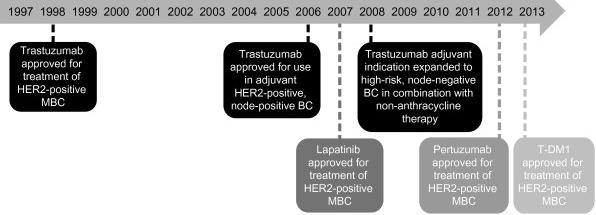 A history of HER2-directed therapy 9/2013: Pertuzumab approved for neoadjuvant therapy of HER2+ breast cancer (stage