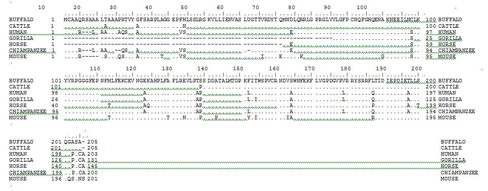 Figure 5. CLUSTAL W alignment of GPX1 gene based on amino acid sequences. References Figure 6. CLUSTAL W alignment of DIO1 gene based on amino acid sequences. Aumann, K. D., Bedorf, N.