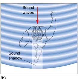 taken for sound to reach from ear to ear Continuous sounds phase delay Interaural intensity