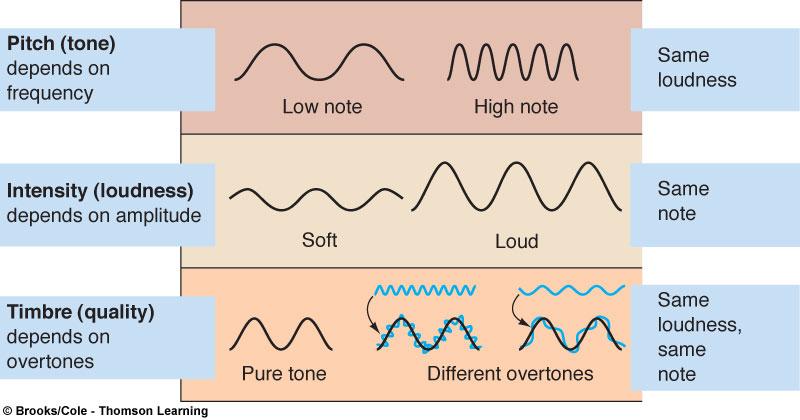 Hearing Hearing Neural perception of sound energy Involves two aspects Identification of the sounds ( what ) Localization of the sounds ( where ) Sound Audible variations in air pressure Consist of