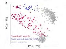 Breast milk molds the composition of GIT microbial consortium B.