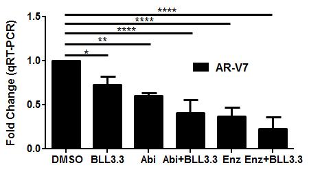 PRMT5 inhibition down-regulates the expression of AR and AR-V7 in LNCaP95. A. LNCaP95 cells cultured in 6 cm dishes were treated with BLL3.