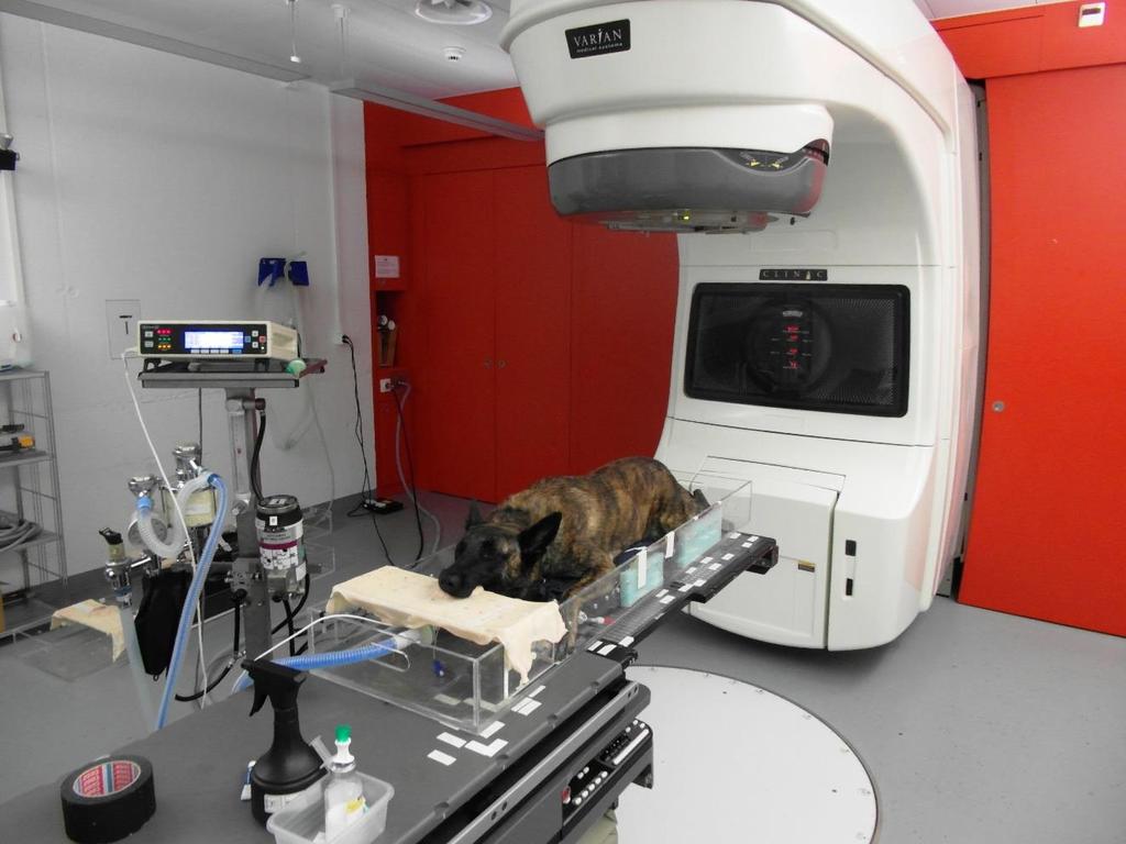 Radiotherapy Each radiotherapy are
