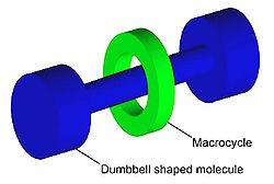 larger than the internal diameter of the ring and prevent dissociation of the components since this