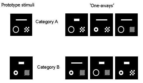 The label assigned to an object is simply another feature of that object. Subjects predictions may be based on a categorization that is different from the labeling used in an experiment.