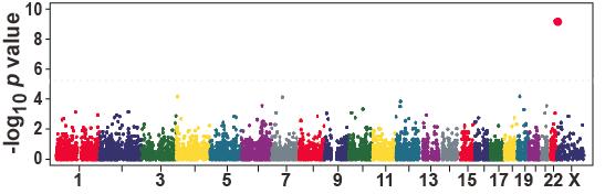 GWAS of Hepatic TG Content in DHS Nonsynonymous DNA Variations (n = 9,229) Overexpression Human transgene in mouse PNPLA3