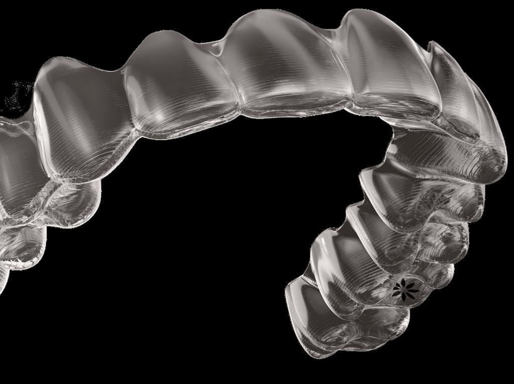 What is the Invisalign System?