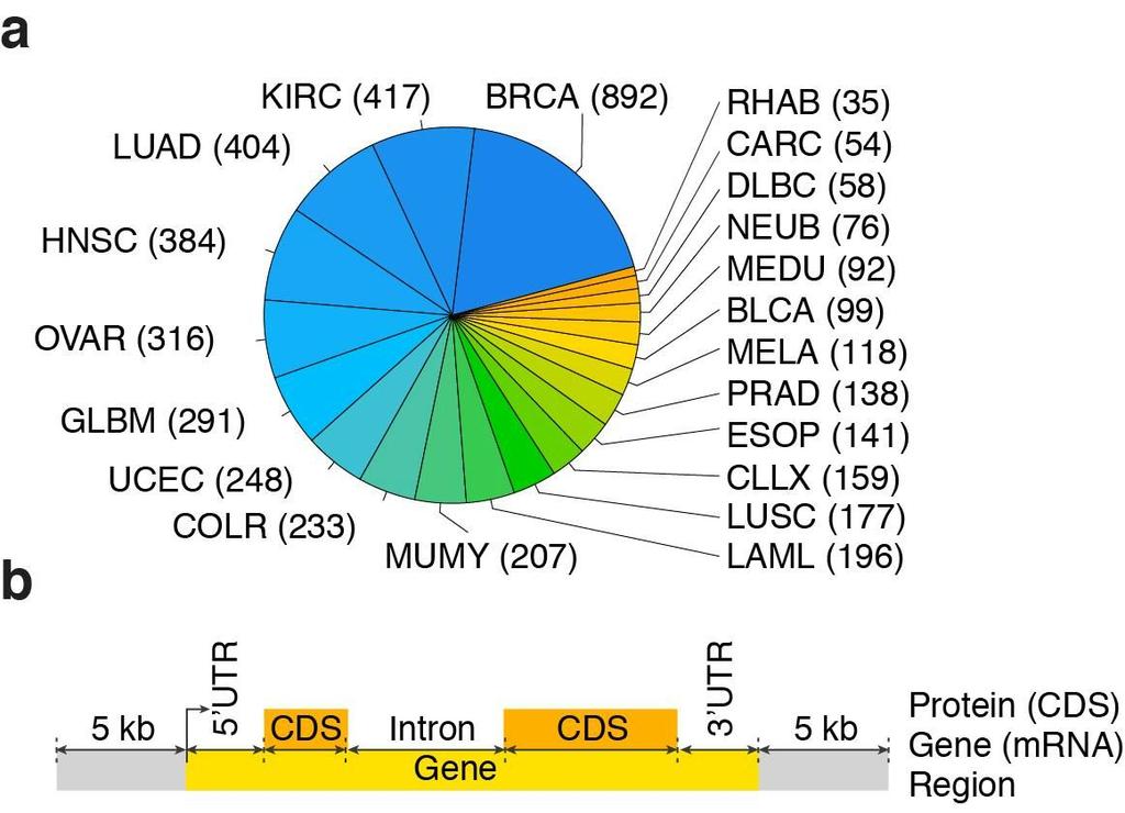 Supplementary Figure 1 Summary of exome sequencing data.
