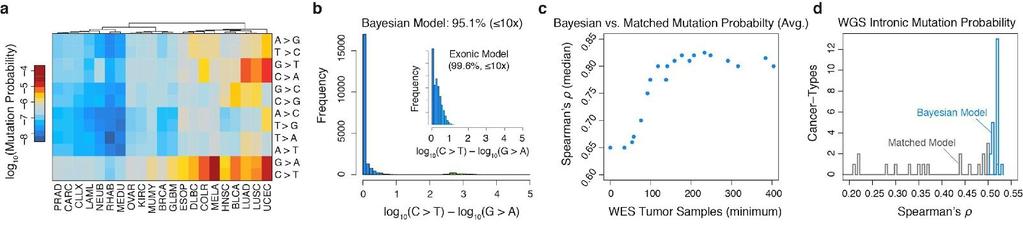 Supplementary Figure 2 Background mutation models capture variance in somatic mutation rates and are well correlated. ( a ) Genome wide transition/transversion mutation probabilities per tumor type.