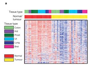 MicroRNA Profiling Comparison between normal and tumour samples Most of the mirnas had lower expression levels in tumours Lu, J., Getz, G., Miska, E. A.