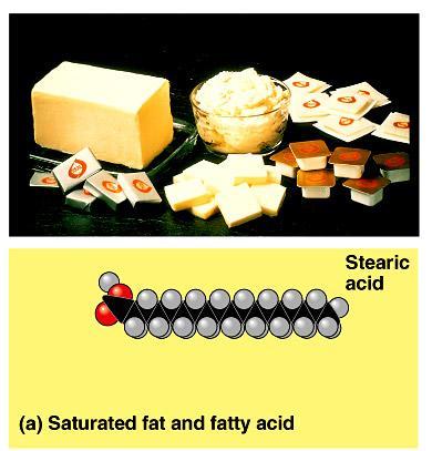 The three fatty acids in a fat can be the same or different.