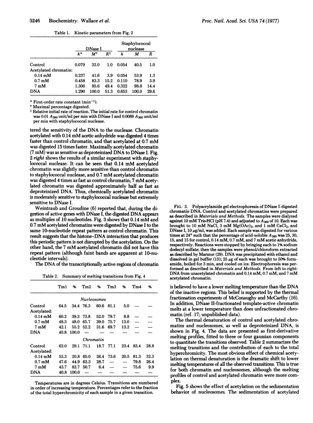 3246 Biochemistry: Wallace et al. Proc. Natl. Acad. Sci. USA 74 (1977) Table 1. Kinetic parameters from Fig. 2 Staphylococcal DNase I nuclease k* Mt R$ k M R Control 0.079 32.0 1.0 0.054 40.5 1.