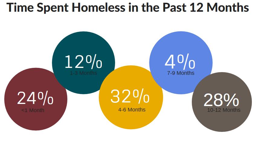 History of Homelessness Time Spent Homeless in the Past 12 Months The greatest number of respondents had been homeless from 4-6 months (32.