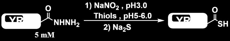 0 mg) 6 Val (ph 9.0) 5.0 42 (1.3 mg) 7 Pro >12 35 (1.