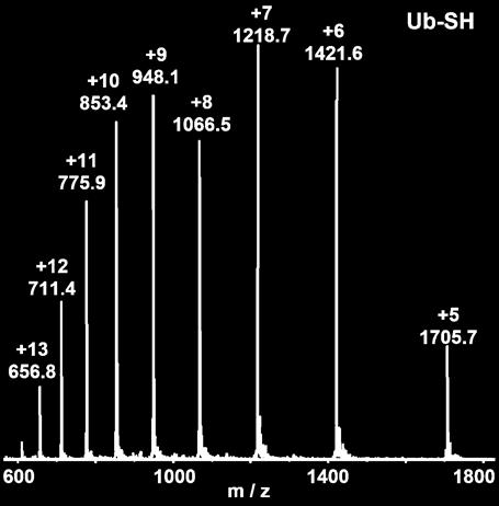 8), Ub-SH (ESI found 8524.1, calc for 8523.