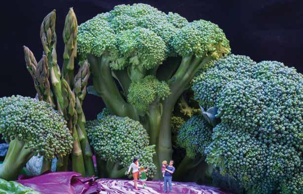 Percy set out to explore and saw a family munching broccoli in a vegetable forest.