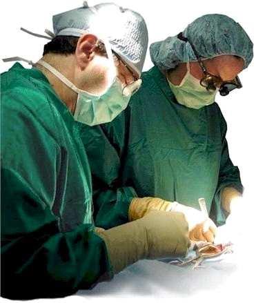 Surgical operation Histopathology