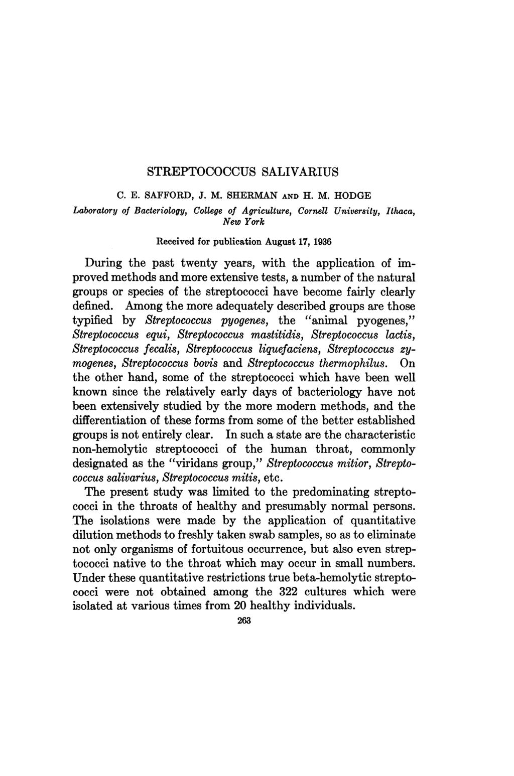 STREPTOCOCCUS SALIVARIUS C. E. SAFFORD, J. M.